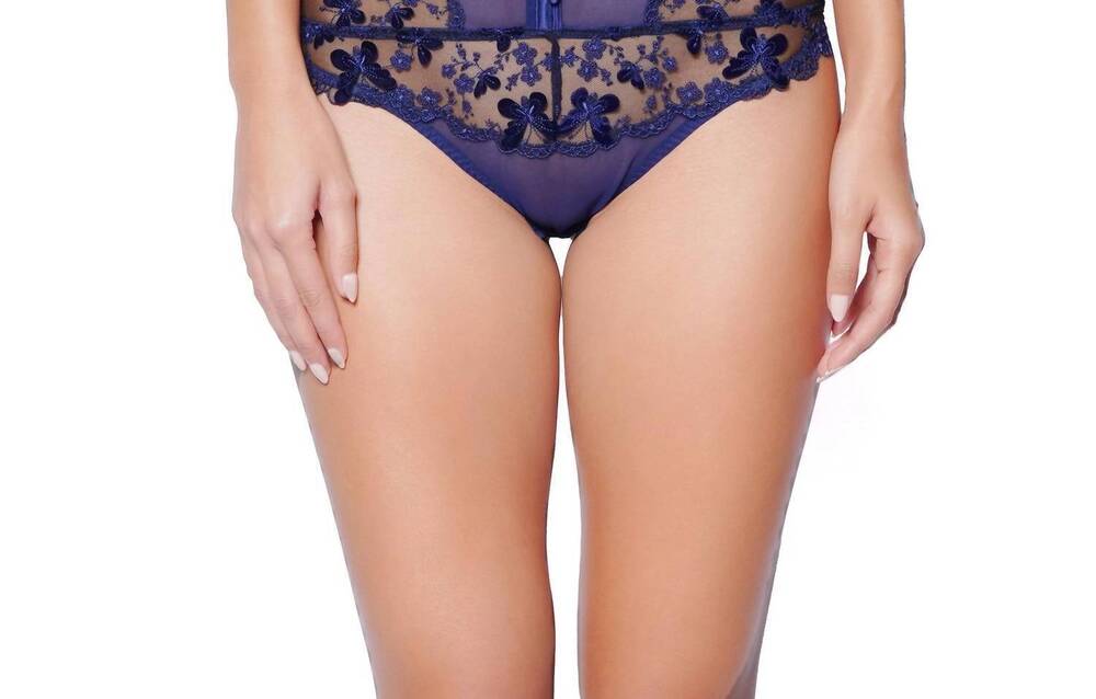 NEW HUIT papillon high waisted brief panty in navy